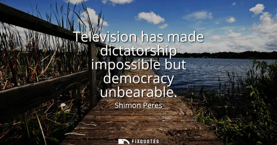 Small: Television has made dictatorship impossible but democracy unbearable