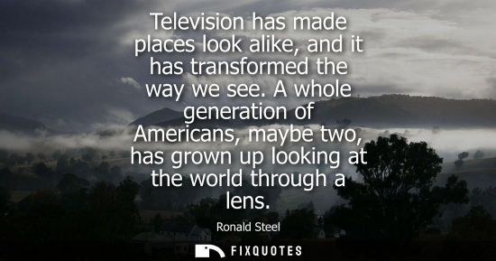 Small: Television has made places look alike, and it has transformed the way we see. A whole generation of Ame