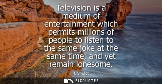 Small: Television is a medium of entertainment which permits millions of people to listen to the same joke at 