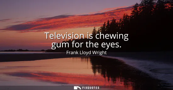 Small: Television is chewing gum for the eyes