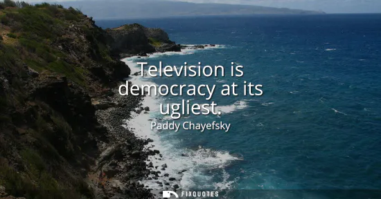Small: Television is democracy at its ugliest