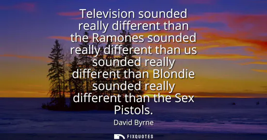 Small: Television sounded really different than the Ramones sounded really different than us sounded really different