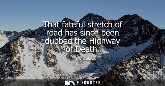 Small: That fateful stretch of road has since been dubbed the Highway of Death