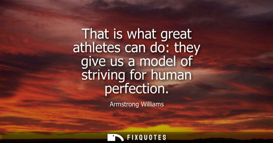 Small: That is what great athletes can do: they give us a model of striving for human perfection