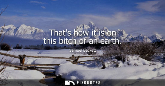 Small: Thats how it is on this bitch of an earth - Samuel Beckett
