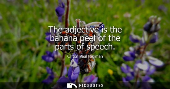 Small: The adjective is the banana peel of the parts of speech