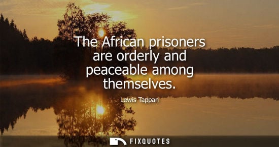 Small: The African prisoners are orderly and peaceable among themselves