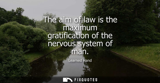 Small: The aim of law is the maximum gratification of the nervous system of man