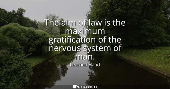 Small: The aim of law is the maximum gratification of the nervous system of man