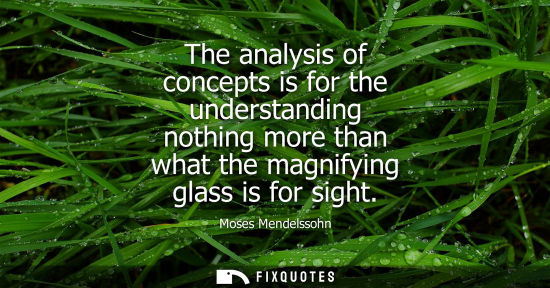Small: The analysis of concepts is for the understanding nothing more than what the magnifying glass is for si