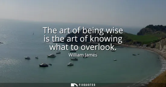 Small: The art of being wise is the art of knowing what to overlook