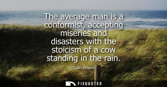Small: Colin Wilson: The average man is a conformist, accepting miseries and disasters with the stoicism of a cow sta