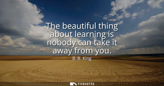 Small: The beautiful thing about learning is nobody can take it away from you