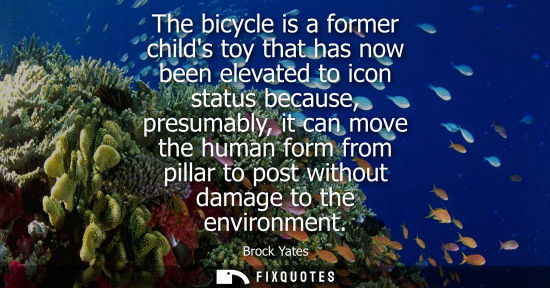Small: The bicycle is a former childs toy that has now been elevated to icon status because, presumably, it can move 