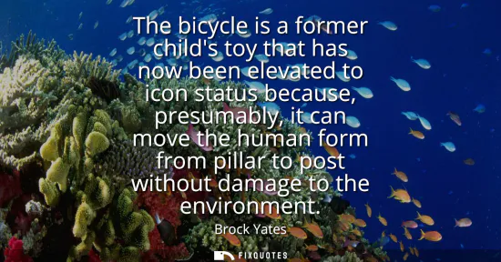 Small: The bicycle is a former childs toy that has now been elevated to icon status because, presumably, it can move 