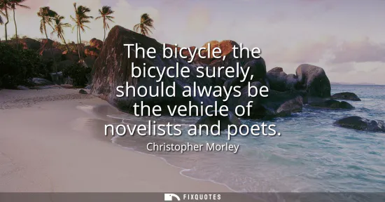 Small: The bicycle, the bicycle surely, should always be the vehicle of novelists and poets