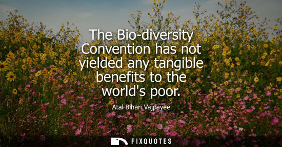 Small: The Bio-diversity Convention has not yielded any tangible benefits to the worlds poor