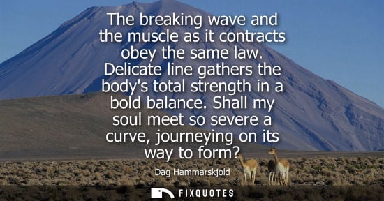 Small: The breaking wave and the muscle as it contracts obey the same law. Delicate line gathers the bodys tot