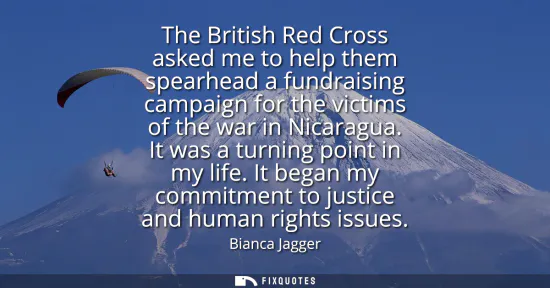 Small: The British Red Cross asked me to help them spearhead a fundraising campaign for the victims of the war in Nic