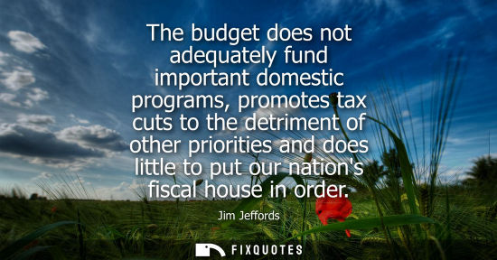 Small: The budget does not adequately fund important domestic programs, promotes tax cuts to the detriment of 