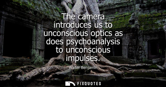 Small: The camera introduces us to unconscious optics as does psychoanalysis to unconscious impulses