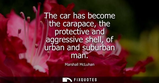 Small: The car has become the carapace, the protective and aggressive shell, of urban and suburban man - Marshall McL