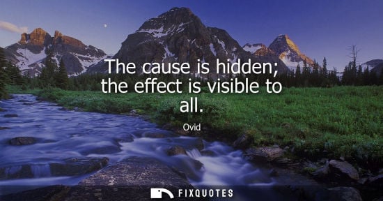Small: The cause is hidden the effect is visible to all