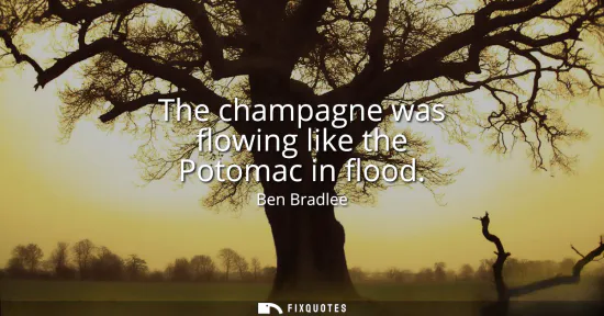 Small: The champagne was flowing like the Potomac in flood