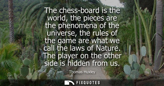 Small: The chess-board is the world, the pieces are the phenomena of the universe, the rules of the game are w