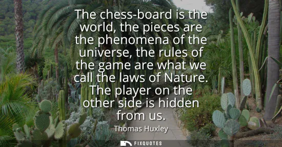 Small: The chess-board is the world, the pieces are the phenomena of the universe, the rules of the game are what we 