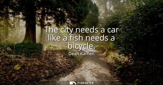 Small: The city needs a car like a fish needs a bicycle