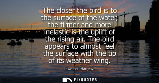 Small: The closer the bird is to the surface of the water, the firmer and more inelastic is the uplift of the 