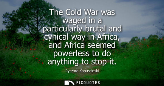 Small: The Cold War was waged in a particularly brutal and cynical way in Africa, and Africa seemed powerless 