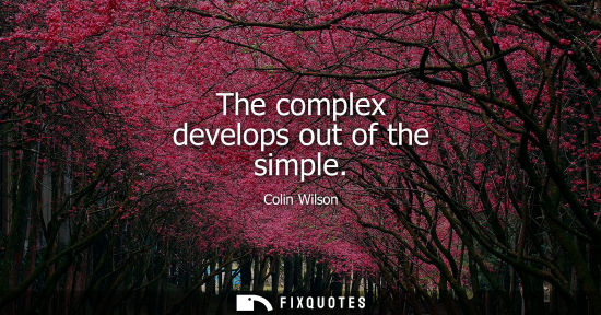 Small: Colin Wilson: The complex develops out of the simple