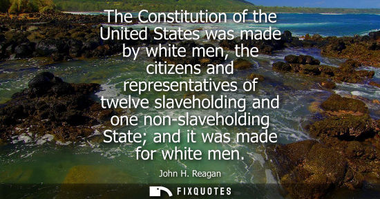 Small: The Constitution of the United States was made by white men, the citizens and representatives of twelve