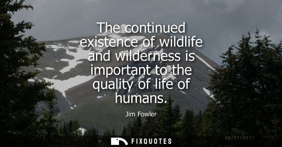 Small: The continued existence of wildlife and wilderness is important to the quality of life of humans