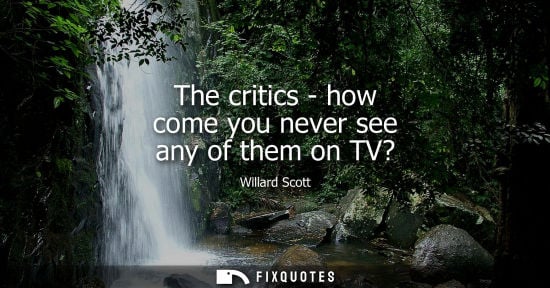 Small: Willard Scott: The critics - how come you never see any of them on TV?