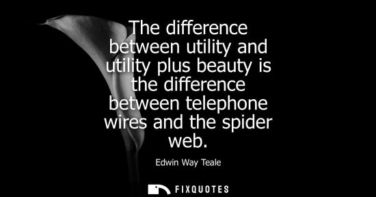 Small: The difference between utility and utility plus beauty is the difference between telephone wires and th