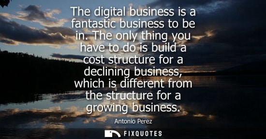 Small: The digital business is a fantastic business to be in. The only thing you have to do is build a cost st