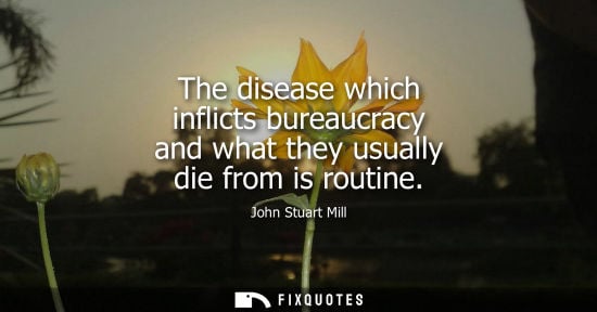 Small: The disease which inflicts bureaucracy and what they usually die from is routine - John Stuart Mill