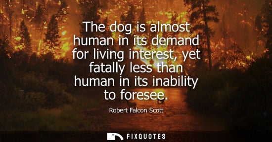Small: The dog is almost human in its demand for living interest, yet fatally less than human in its inability to for