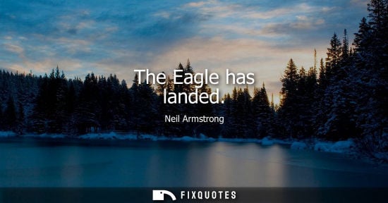 Small: The Eagle has landed - Neil Armstrong