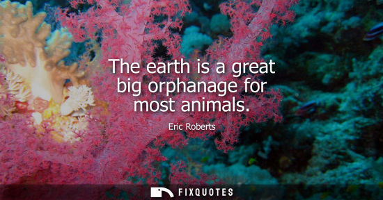 Small: The earth is a great big orphanage for most animals
