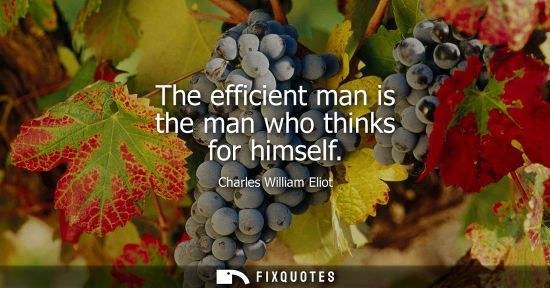 Small: The efficient man is the man who thinks for himself