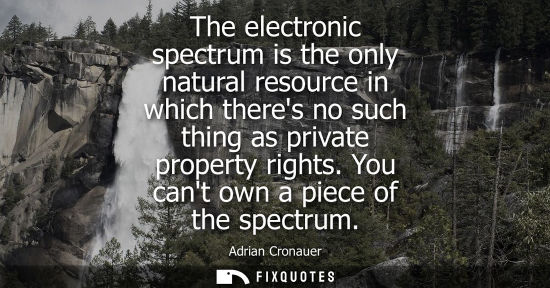 Small: The electronic spectrum is the only natural resource in which theres no such thing as private property 