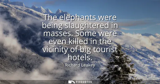 Small: The elephants were being slaughtered in masses. Some were even killed in the vicinity of big tourist hotels