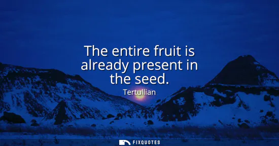 Small: The entire fruit is already present in the seed