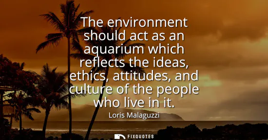 Small: The environment should act as an aquarium which reflects the ideas, ethics, attitudes, and culture of the peop