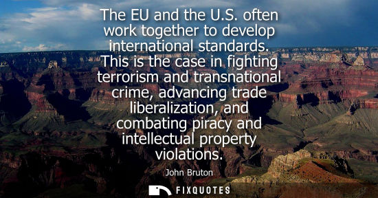 Small: The EU and the U.S. often work together to develop international standards. This is the case in fighting terro