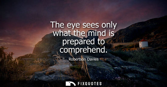 Small: The eye sees only what the mind is prepared to comprehend